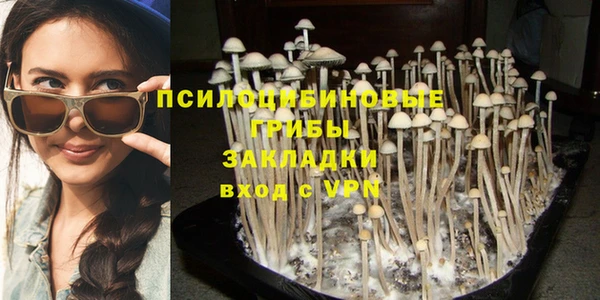 jwh Медвежьегорск