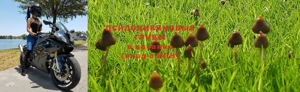 jwh Медвежьегорск