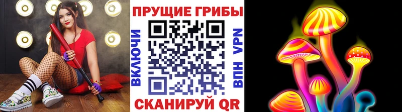 что такое наркотик  Шатура  Псилоцибиновые грибы Cubensis 
