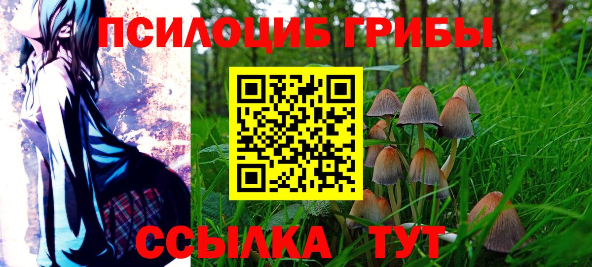 Псилоцибиновые грибы Cubensis Шатура