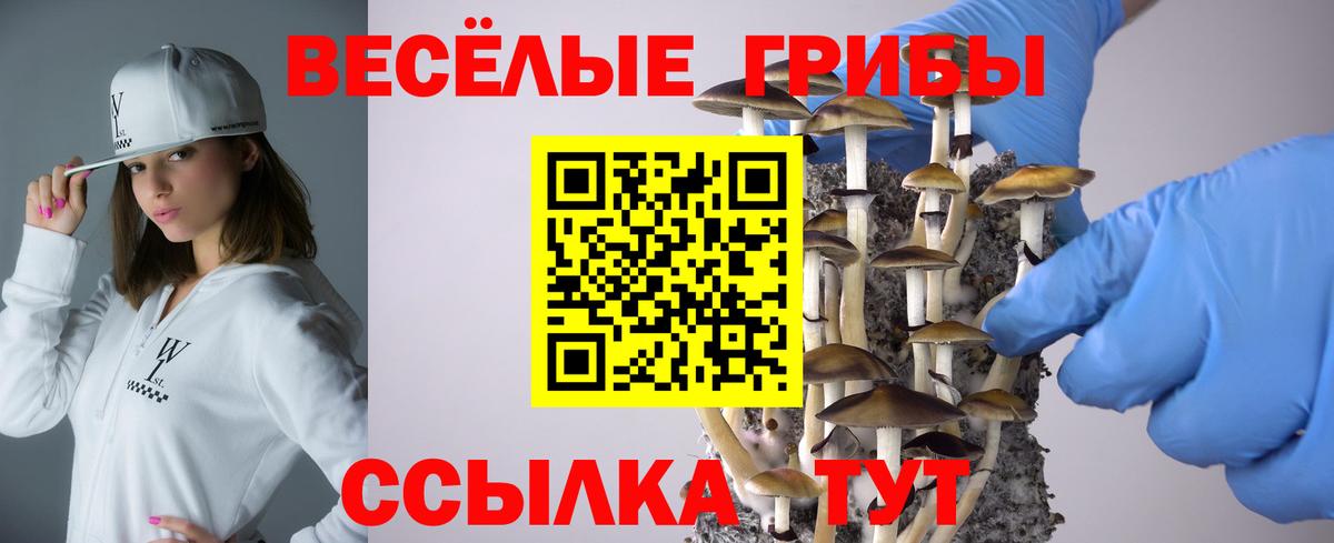 Псилоцибиновые грибы GOLDEN TEACHER  Галлюциногенные грибы Magic Shrooms  Шатура 