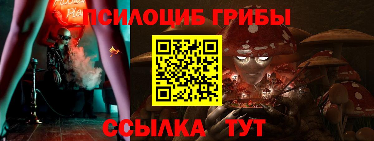 Шатура  Галлюциногенные грибы ЛСД  даркнет сайт  Вход с VPN 