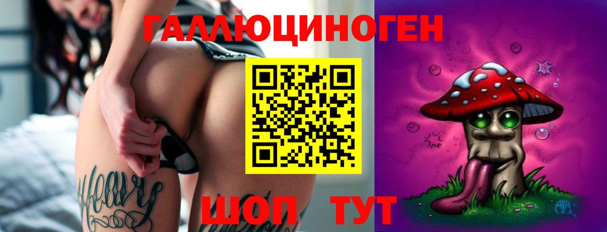 Псилоцибиновые грибы прущие грибы Шатура